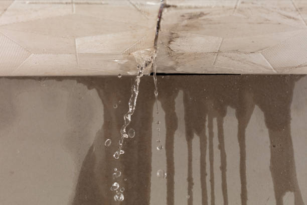 Professional Structural Drying technician working in Sardinia, OH
